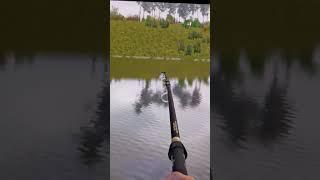 Русская Рыбалка 4 Села Белуга 300кг + #rf4 #russianfishing4 #рр4