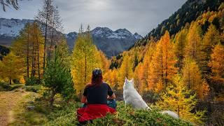 Falling for autumn in Switzerland - Kingdom of Golden Larches