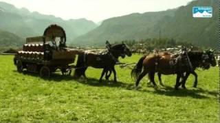 25. Schoenauer Rosstag. Tradition und Brauchtum in Berchtesgaden-Königssee, Bayern