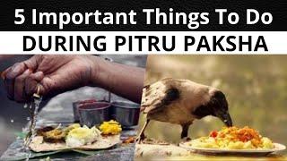 Pitru Paksha 2023: 5 IMPORTANT THINGS to Do During PITRU PAKSHA | Shradh 2023 Rituals | #shradh2023