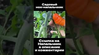 Садовый нож напальчник с Алиэкспресс / Товары для дома / Сада / дачи