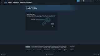 How to Set Up Family View on Steam in 2024 - Restrict Access on Steam