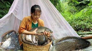 How to make a fish trap in the floating season, harvest many types of natural fish in the trap