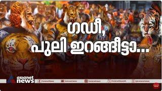 നഗരം കീഴടക്കാൻ പുലികൾ | Pulikkali | Thrissur| Spot Reporter 1 Sep 2023