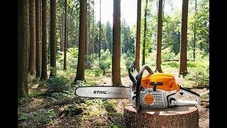 Заготовка дров на зиму  STIHL ms 180с