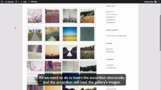 Create accordions from galleries in Grid Accordion