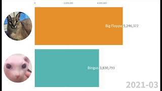 Big Floppa vs Bingus Popularity count- (2020-2021)