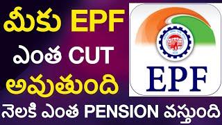 What is EPF Telugu : PF Contributions & Pension Calculation Explained