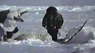 Larry Jones Epic Polar Bear Hunt