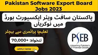 Pakistan Software Export Board Karachi Jobs February 2023 || Pak Online Jobs