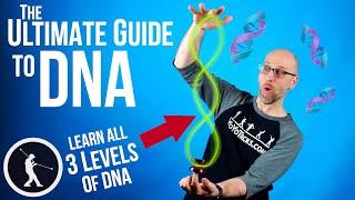 How to do the DNA Yoyo Trick  All 3 Levels of DNA Beginner to Pro