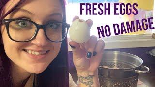 HOW TO BOIL FRESH EGGS SO THEY PEEL EASILY