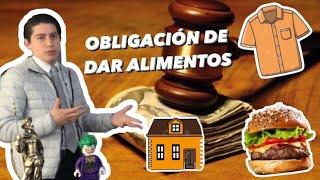 Obligación de dar alimentos