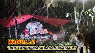 heavy rain all night, camping tent in the middle of the forest, relaxing rain sound