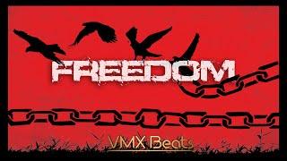 [FREE] Alternative Electronic Instrumental - 'Freedom' by VMX Beats