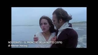 SCENE CULT : NOSFERATU - IL PRINCIPE DELLA NOTTE (1979) di Werner Herzog con Klaus Kinski