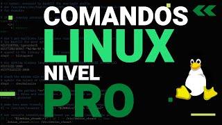 🟣  Comandos Básicos de Linux   Para ser PRO en Terminal