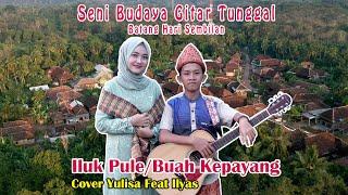 Iluk pule/buah kepayang cipt : NN (cover yulisa feat ilyas)