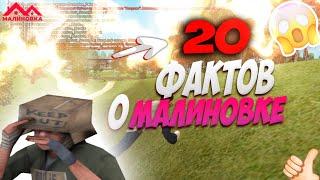 ТОП 20 ФАКТОВ О КОТОРЫХ ТЫ НЕ ЗНАЛ! МАЛИНОВКА РП | #malinovka