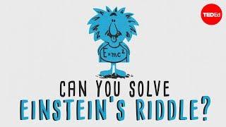 Can you solve "Einstein’s Riddle"? - Dan Van der Vieren