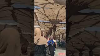 Masjid Nabawi Madina Al Munawrah️please Subscribe#youtube #madinalive#masjidnabawi#jummamubarak