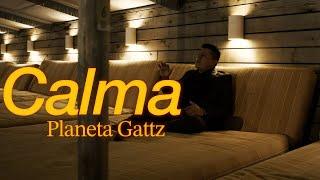 Calma (Pedro Capó Cover) - Planeta Gattz x Ángel Gattz