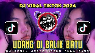 DJ UDANG DI BALIK BATU LESTI FT PASHA FT NASSAR JEDAG JEDUG REMIX VIRAL TIKTOK TERBARU 2024