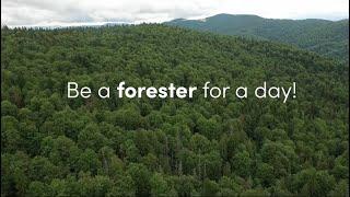 Be a forester for a day!