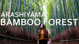 Alone in the Arashiyama Bamboo Forest | Kyoto Travel Vlog