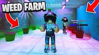 HUGE WEED FARM IN THIS NEW ROBLOX BRONX HOOD GAME