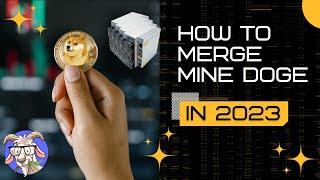 How to merge mine DOGECOIN in 2023 (and why you want to start right now)