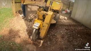 Grinding Two Small Stumps @chris'stumpgrinding