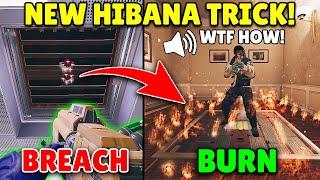 NEW *Hibana & Capitão* BIG BRAIN Combo By Pro Players! - Rainbow Six Siege Deadly Omen