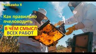 Хотите много #пчёл и мёда на пасеке? Тогда нужно понять смысл работ пасечника. Этапы пчеловождения.