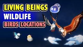 All Wildlife Birds - Living Beings Archive | Genshin Impact Falcon, Pigeon, Finch, Duck, Crane