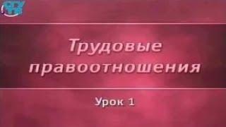 Трудовое право. Урок 1. Цели, задачи и принципы трудового права