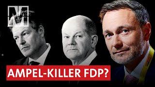 FDP schuld am Ampel-Aus? - MONITOR