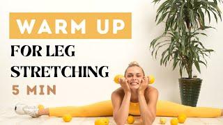 WARM UP for LEG STRETCHING | 5 min FOLLOW ALONG routine  (No Equipment no Jumping)