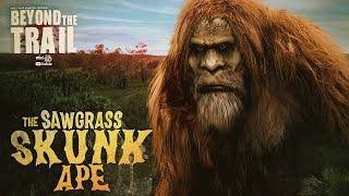 The Sawgrass Skunk Ape - Bigfoot Beyond the Trail