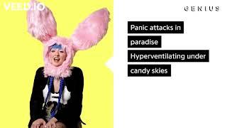 Ashnikko - Panic Attacks in Paradise (Acapella from Genius Verified)