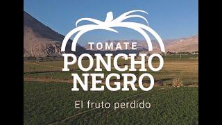 Documental Poncho Negro, el Fruto Perdido