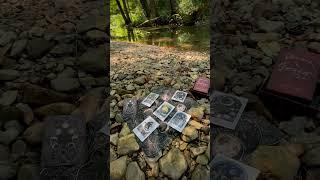 Creekside with my Phases and Forests Oracle Deck. #forest #nature #oraclereading