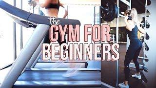 BEGINNER'S GUIDE TO THE GYM | Reese Regan