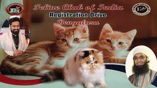 FCI,FELINE CLUB OF INDIA, CAT.REGISTRATION DRIVE.IN BANGALORE,11/04/2021,AT ASIF RUHULLAH.FAROOQ SFA