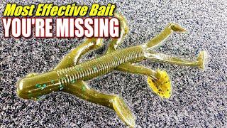 The Most Effective Bait You Are Probably Not Using