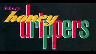 "ROBERT PLANT & THE HONEYDRIPPERS:  Live In Monmouth Wales" - (1985)