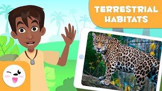 Explore Terrestrial Habitats - Types of Habitats for Children