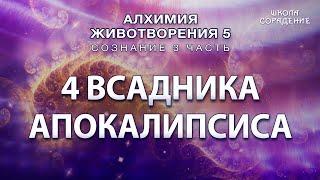 4 всадника апокалипсиса #Гарат #АЖ6  #Сознание #ЖивыеСеминары #школаСорадение