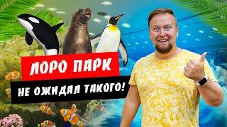 Тенерифе. Я такого не ожидал! Невероятный Лоро Парк. Канарские острова