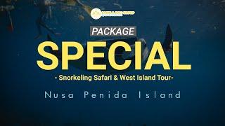 NUSA PENIDA PACKAGE SPECIAL( Snorkeling Safari & West Tour ) #nusapenidatrip #package #trip